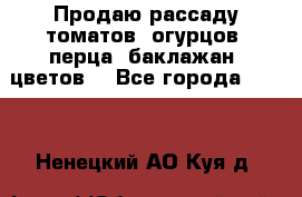 Продаю рассаду томатов, огурцов, перца, баклажан, цветов  - Все города  »    . Ненецкий АО,Куя д.